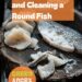 A vibrant photo showing a round fish being scaled, gutted, and cleaned on a chopping board, with a sharp knife nearby. The background is a dark, black wooden texture surface. This image demonstrates fish cleaning techniques.